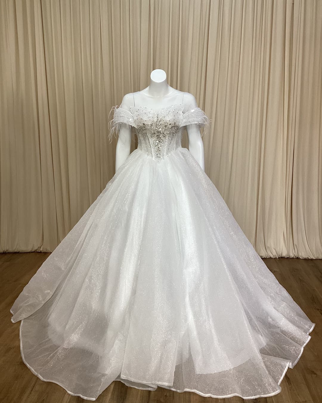 Ball Gown Wedding Dress 13