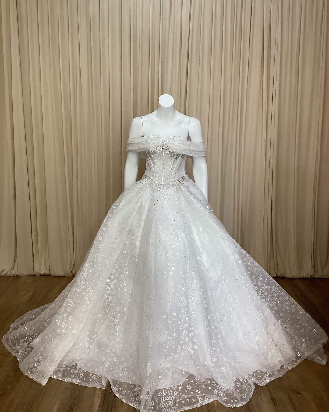 Ball Gown Wedding Dress