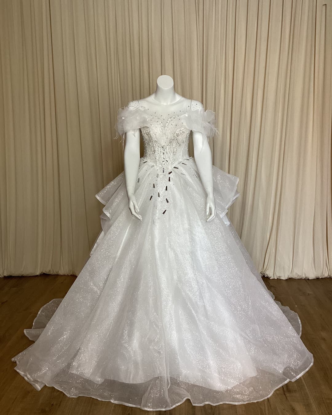 Ball Gown Wedding Dress 48