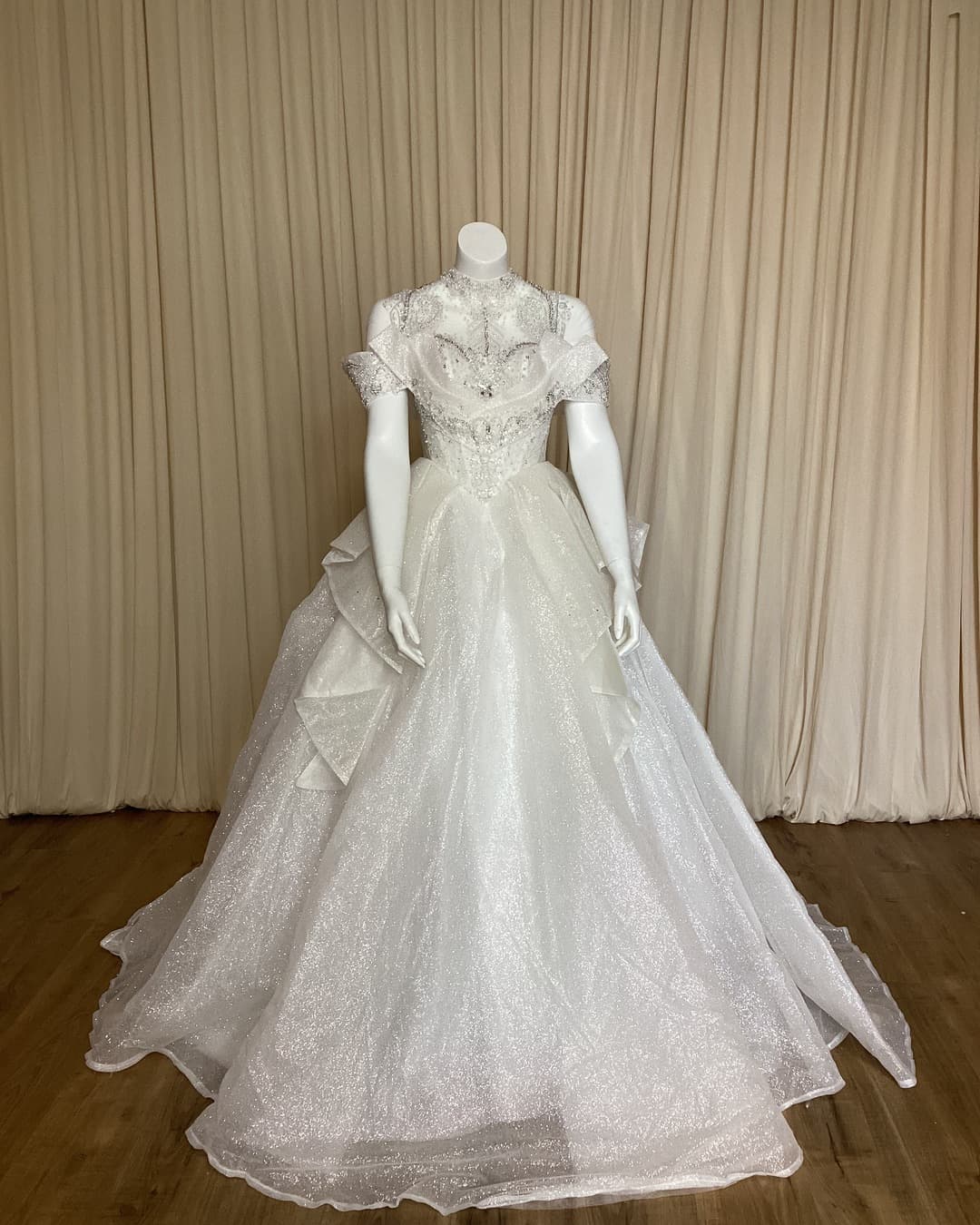 Ball Gown Wedding Dress