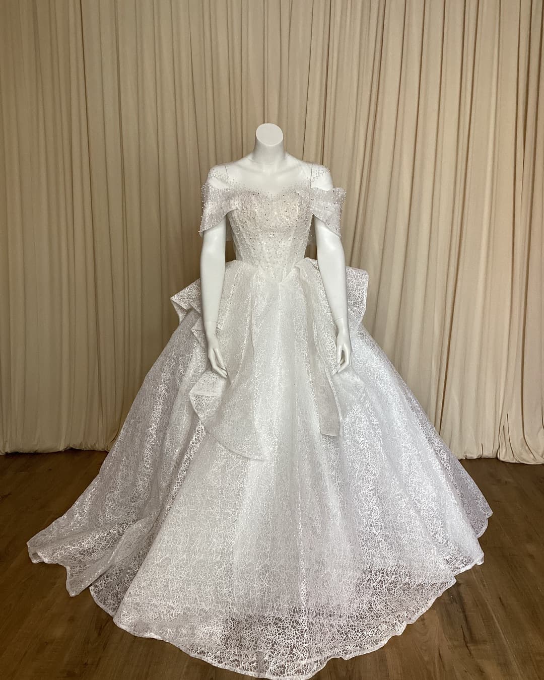 Ball Gown Wedding Dress 51