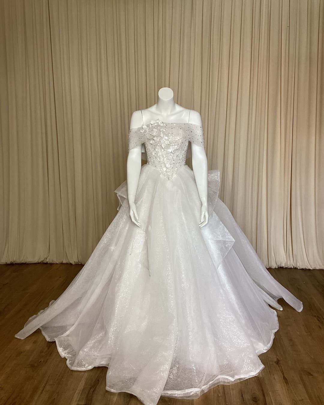 Ball Gown Wedding Dress