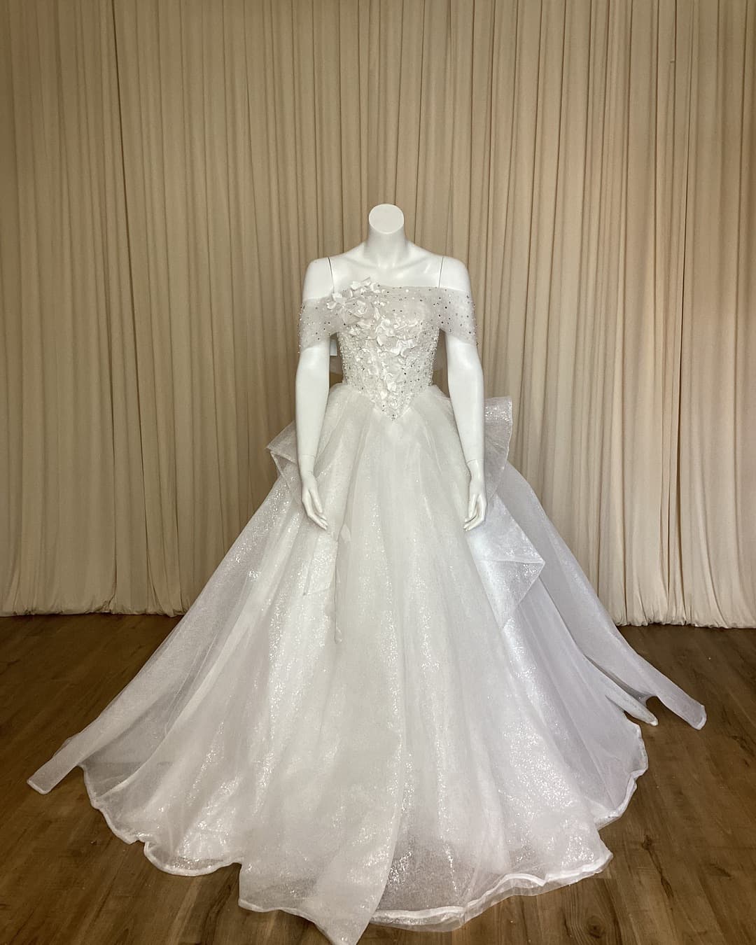 Ball Gown Wedding Dress